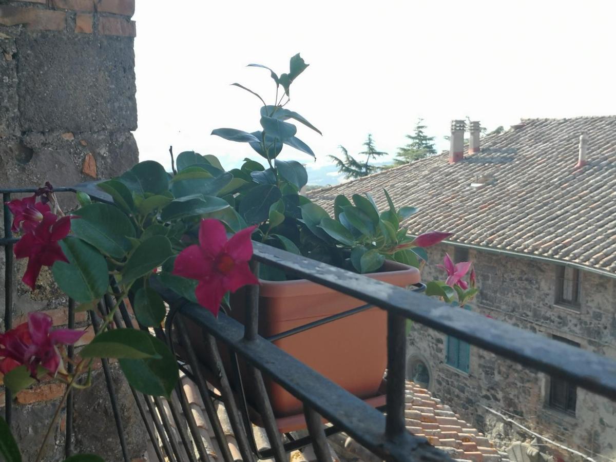La Gioiosa